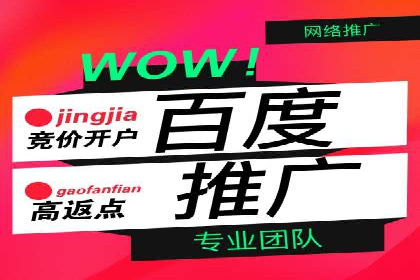 百度推广实战：成功案例解析